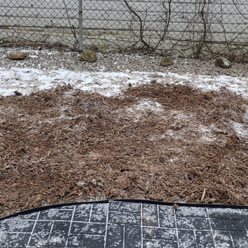 Regina's Dog-Friendly Yard