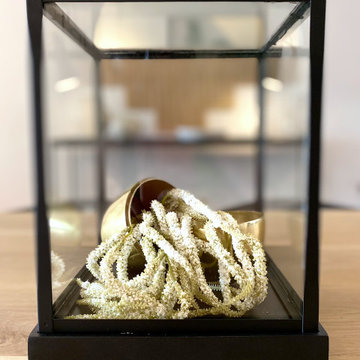 Dream Alpine- Custom Show Unit