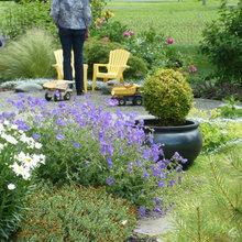 cottage garden