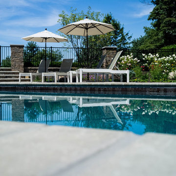 Holland Residence