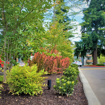 NEW LANDSCAPE DESIGN