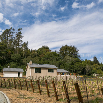 Happy Valley - New Winery Estate