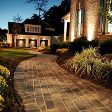 Backyard Ideas