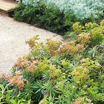 A Contemporary Village Garden