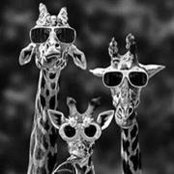 Becky Debandi's photo