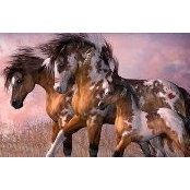 Shauna Depta's photo