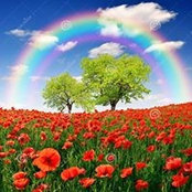 Donna Wilder's photo