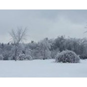 Darlene Hamlett's photo