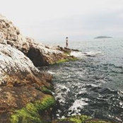 Sarah Thomas's photo