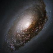 Danny Jones's photo