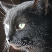 Lori Armstrong's photo