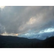 Suzanne Bosworth's photo