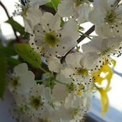 Marie Moran's photo