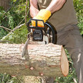 Stonaker Tree Service's profile photo