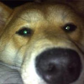 Cory Scott's photo