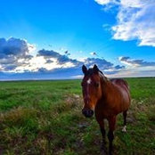 Tod Fossetta's photo