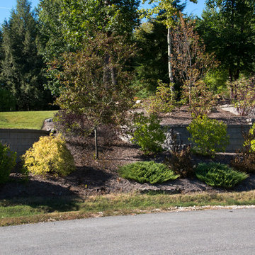Our Work