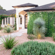 Austin Landscape