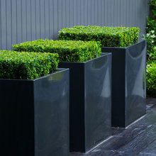 PLANTERS/CONTAINERS