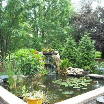 Ponds and Water Features
