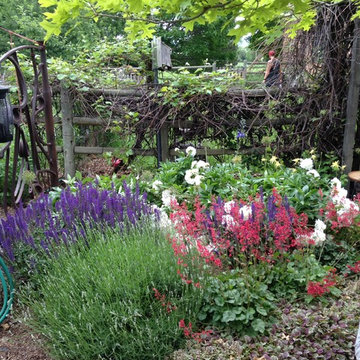 North Boulder Garden tour