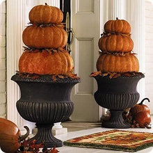 Fall outdoor