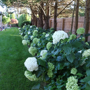 East Hampton Cottage