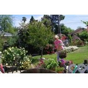 Phyllis Dyer Mentchs billede