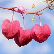 T Malika Foster's photo