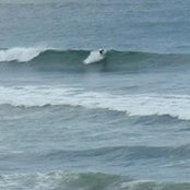 Gabe Craveiro's photo