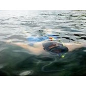 Andrew Preston's photo