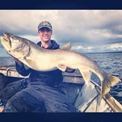 Beau Stewart's photo