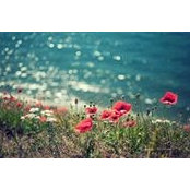 Chaymaa Yousef's photo