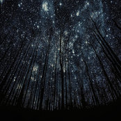 Mj Averi's photo