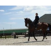 Laura Eremia's photo