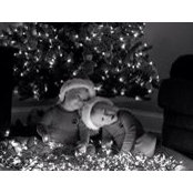 Krista O'Hearn's photo