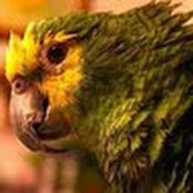 David Hill's photo