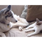 Dawn Mandabach's photo