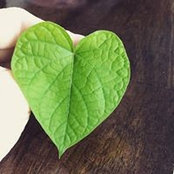 Michelle Lee's photo