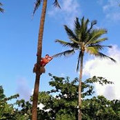 Foto von Tasi Sand