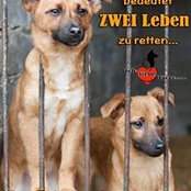 Foto von Willi Wagner