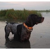 Christopher Anderson's photo