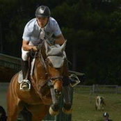 Leo Schaar's photo