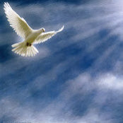 Sushma P's photo