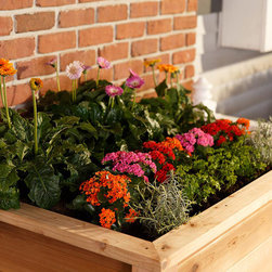 32&Prime;x 48&Prime; Elevated Garden Planter - Products