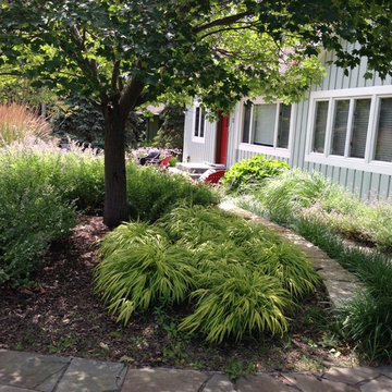 Compact Front Yard