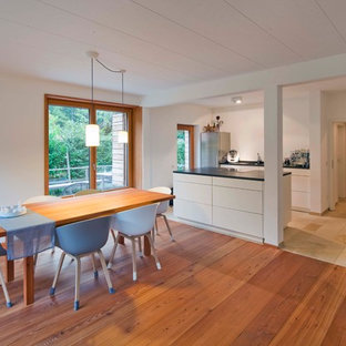 ミュンヘンの中サイズの北欧風 LDKの画像 (白い壁、無垢フローリング、薪ストーブ、漆喰の暖炉まわり、茶色い床)