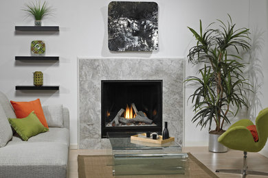 Inspiration for a mid-sized contemporary formal and enclosed light wood floor and beige floor living room remodel in Other with white walls, a standard fireplace and a stone fireplace