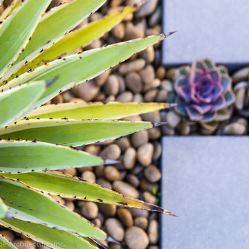 Succulent Garden Plant Creative Paving