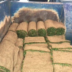 Tall Fescue Harvest - Products